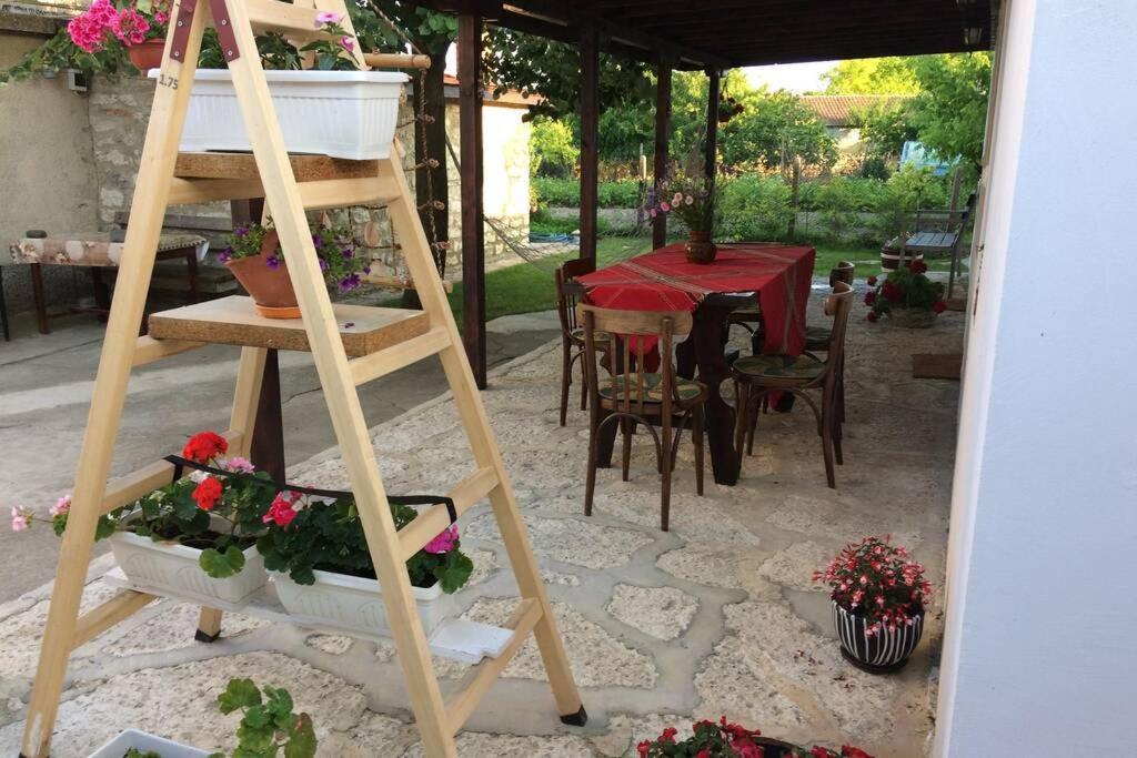 Bŭlgarevo Guest House Kostadinovi מראה חיצוני תמונה